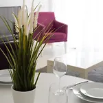 Albur Village Apartamento