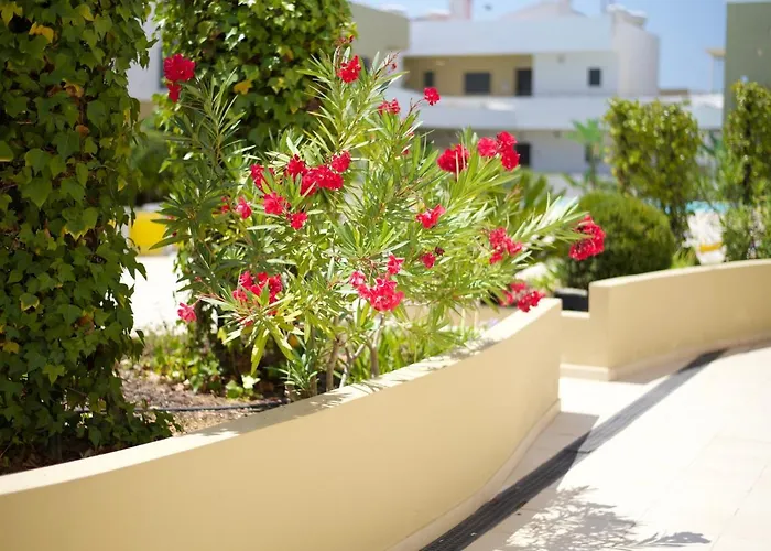 아파트 Albur Village 알보르