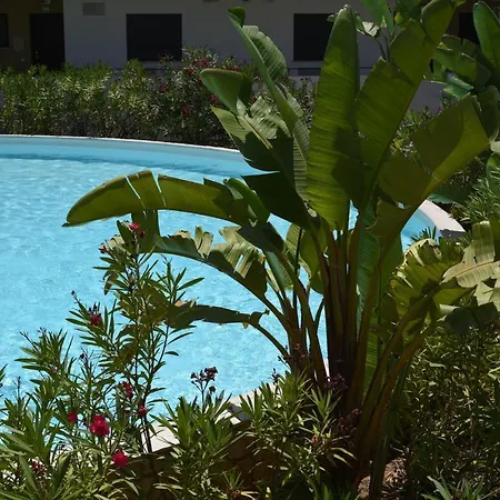 Albur Village * ألفور